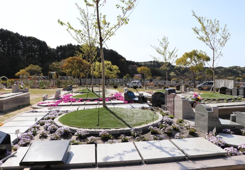 樹木葬は一般墓より安い?樹木葬の相場