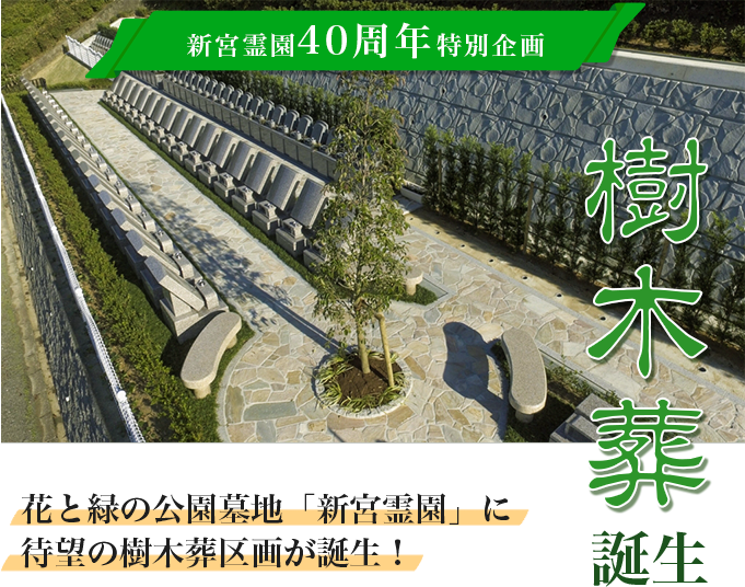 新宮霊園に樹木葬区画が誕生