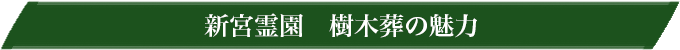 新宮霊園 樹木葬の魅力