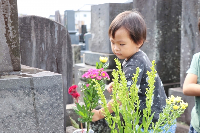 福岡の永代供養 樹木葬 納骨堂 お墓を探すなら アノヨコノヨ